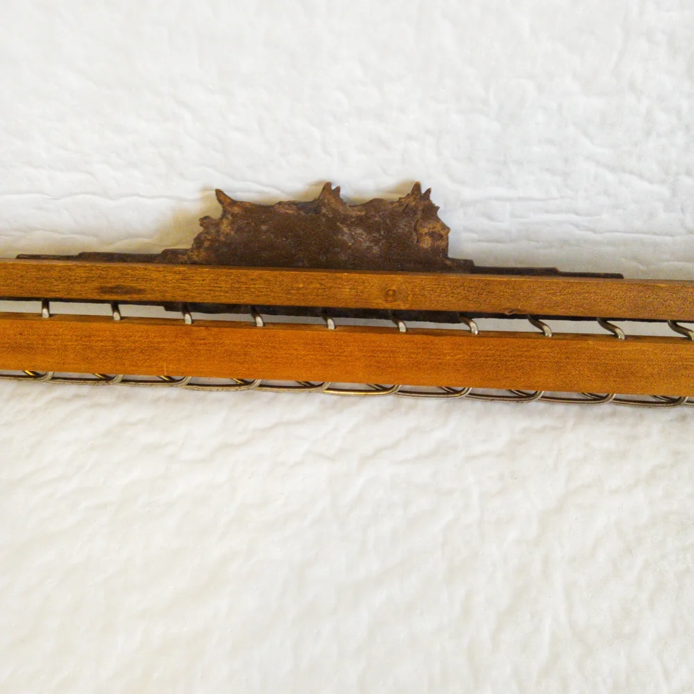 Charming Brown Dog Wall Hook